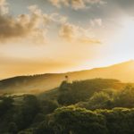 Invest Live Work Retire in Mauritius - Culture, Food, People, Business, City, Sea, Sand, Beach, Tropical, Nature - 13