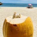 Invest Live Work Retire in Mauritius - Culture, Food, People, Business, City, Sea, Sand, Beach, Tropical, Nature - 22