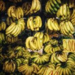 Invest Live Work Retire in Mauritius - Culture, Food, People, Business, City, Sea, Sand, Beach, Tropical, Nature - 59