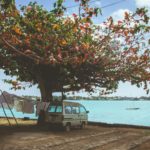 Invest Live Work Retire in Mauritius - Culture, Food, People, Business, City, Sea, Sand, Beach, Tropical, Nature - 64