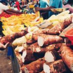 Invest Live Work Retire in Mauritius - Culture, Food, People, Business, City, Sea, Sand, Beach, Tropical, Nature - 7