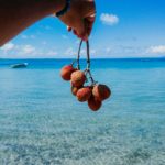 Invest Live Work Retire in Mauritius - Culture, Food, People, Business, City, Sea, Sand, Beach, Tropical, Nature - 9